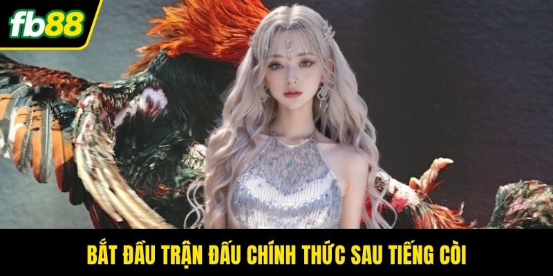 Bắt đầu trận đấu chính thức sau tiếng còi