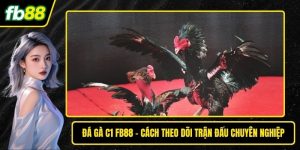 Đá gà C1
