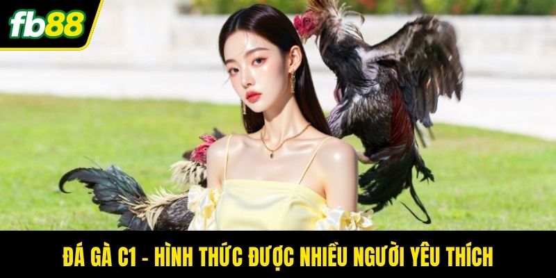 Đá gà c1 - Hình thức được nhiều người yêu thích