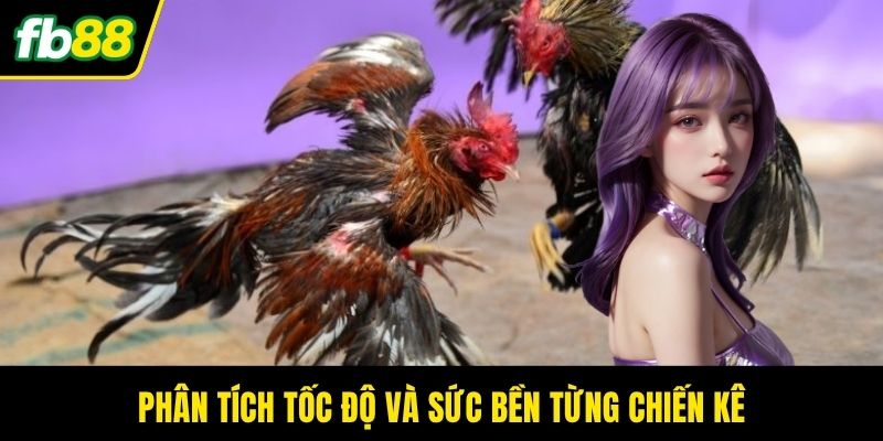 Phân tích tốc độ và sức bền từng chiến kê