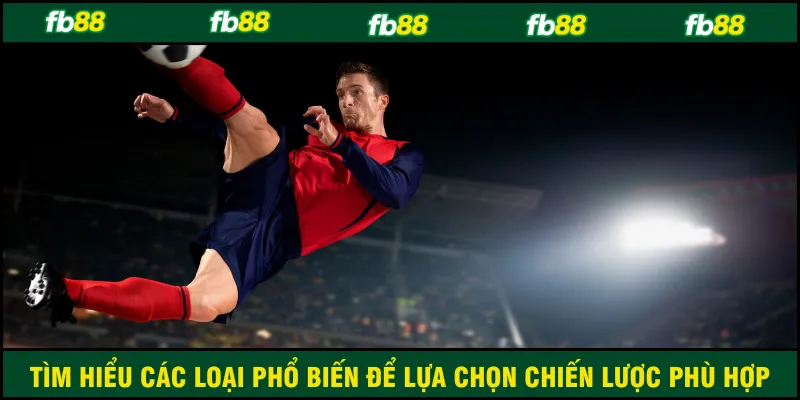 Tìm hiểu các loại phổ biến để lựa chọn chiến lược phù hợp